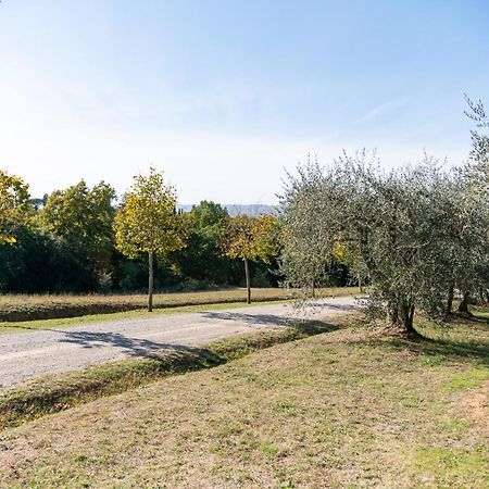 San Carlo A La Molinella Guest House Città della Pieve Екстериор снимка