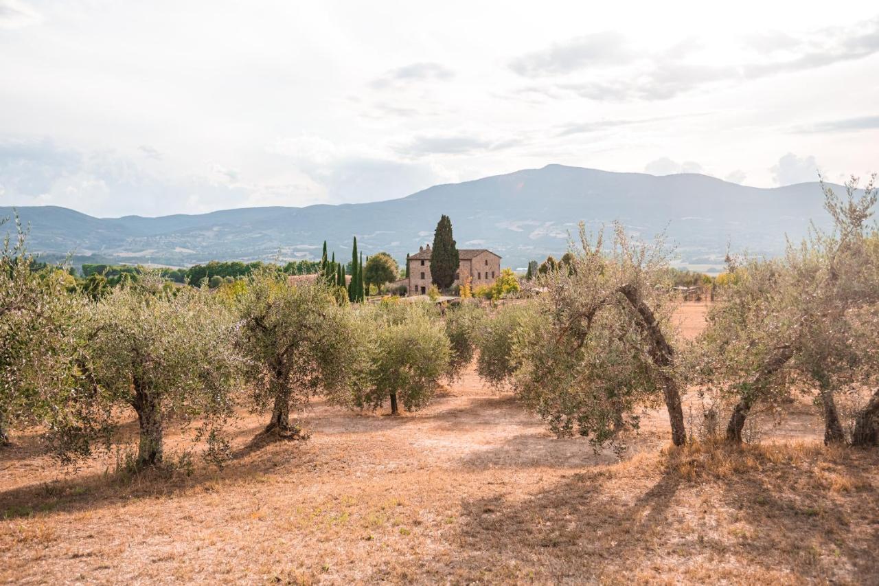 San Carlo A La Molinella Guest House Città della Pieve Екстериор снимка