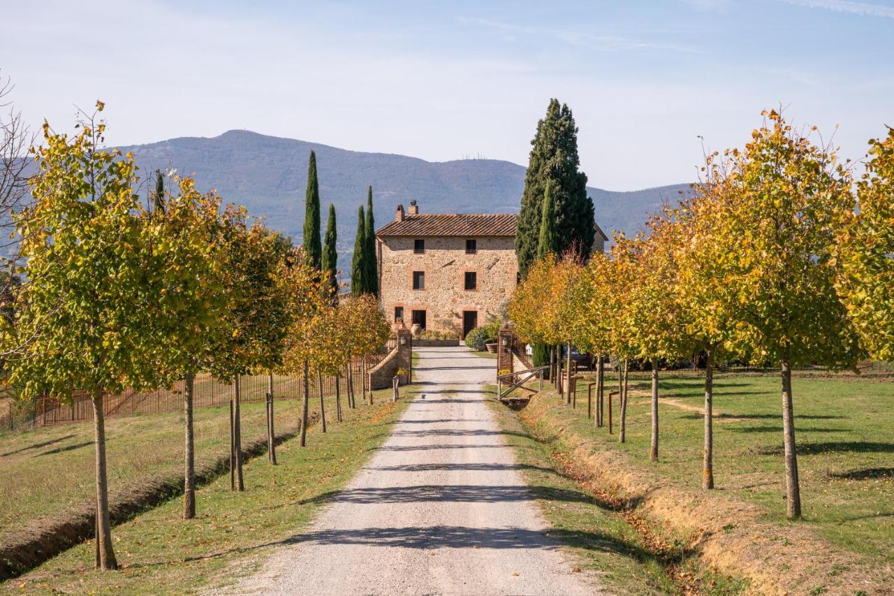 San Carlo A La Molinella Guest House Città della Pieve Екстериор снимка