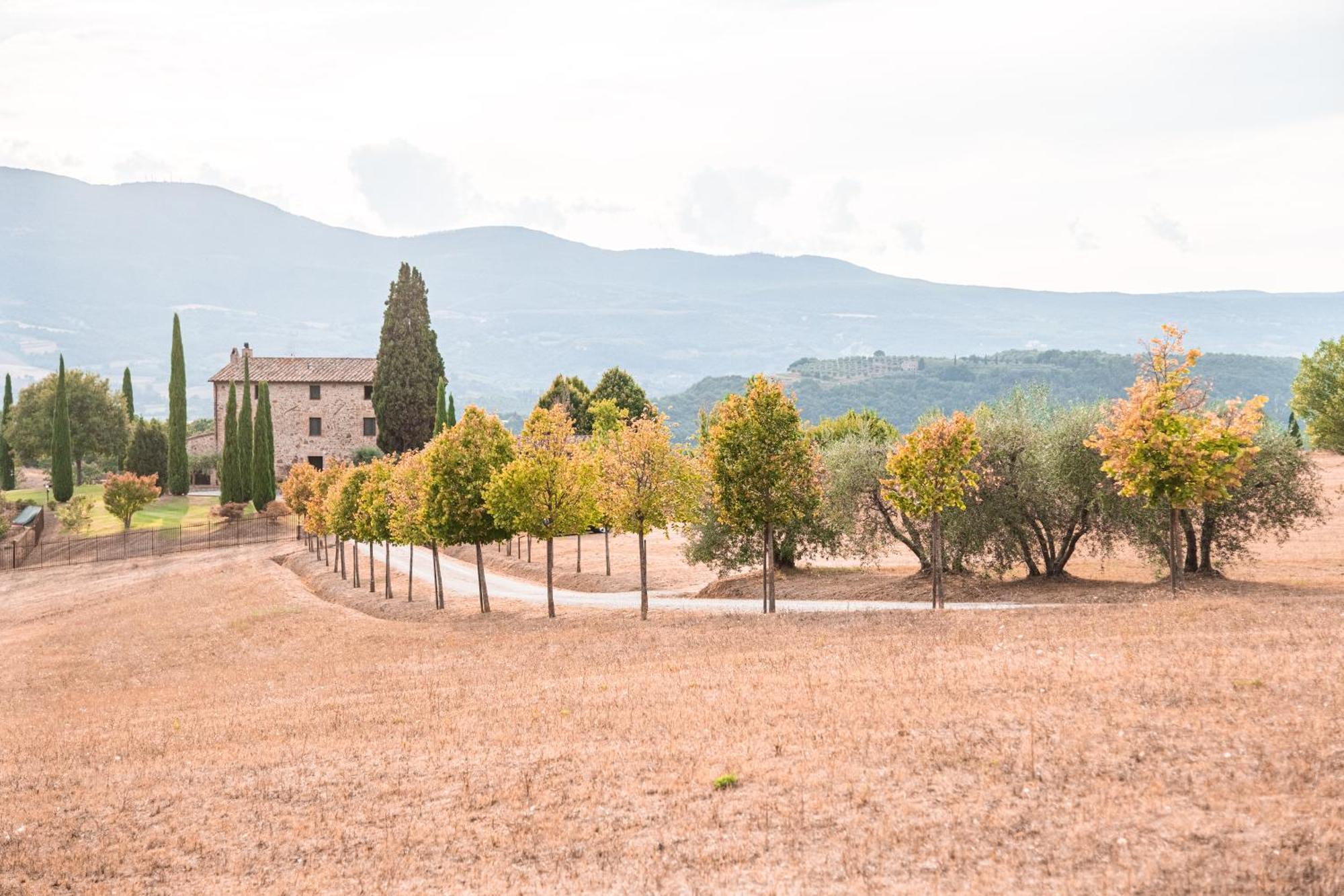 San Carlo A La Molinella Guest House Città della Pieve Екстериор снимка