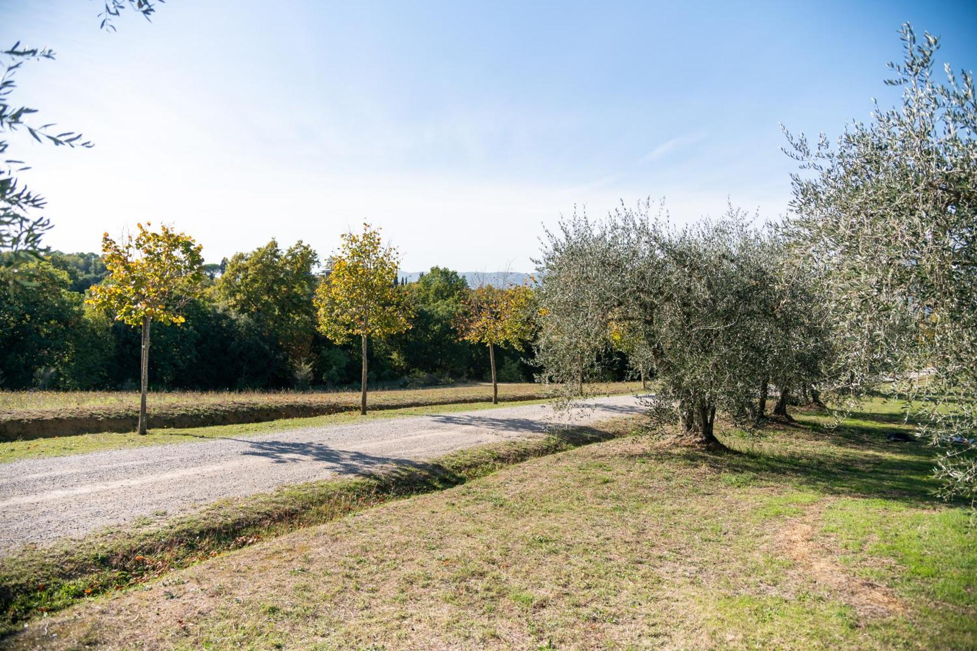 San Carlo A La Molinella Guest House Città della Pieve Екстериор снимка